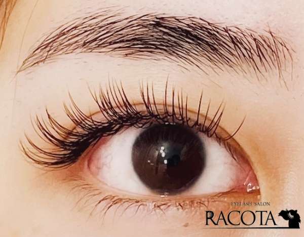 【夏の汗にも負けない🌻セーブル120本で華やかぱっちりeye✨】