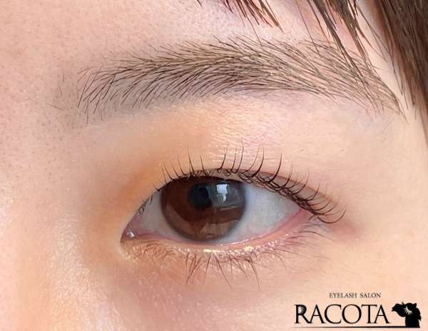 アイブロウとラッシュリフトのセット