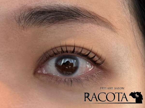 【伏し目まで美しい✨話題のシェルロッド】